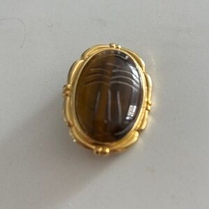 Gold and Brown Scarab brooch